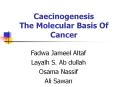 Caecinogenesis The Molecular Basis Of Cancer PowerPoint PPT Presentation