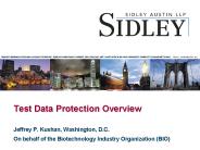Test Data Protection Overview