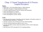 Chap. 15 Signal Transduction