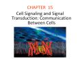 Cell Signaling and Signal Transduction: Communication Between Cells PowerPoint PPT Presentation