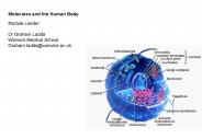 The cell cycle