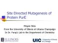 Site Directed Mutagenesis of Protein PurE PowerPoint PPT Presentation