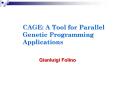 CAGE: A Tool for Parallel Genetic Programming Applications PowerPoint PPT Presentation