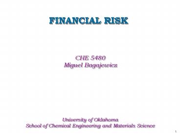 FINANCIAL RISK