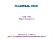 FINANCIAL RISK
