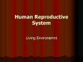 Human Reproductive System PowerPoint PPT Presentation