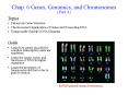 Chap. 6 Genes, Genomics, and Chromosomes (Part A) PowerPoint PPT Presentation