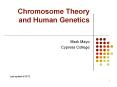 Chromosome Theory and Human Genetics PowerPoint PPT Presentation