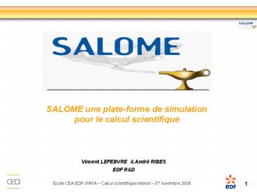 SALOME une plate-forme de simulation pour le calcul scientifique