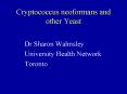 Cryptococcus neoformans and other Yeast PowerPoint PPT Presentation