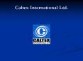 Caltex International Ltd. PowerPoint PPT Presentation