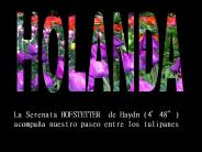La Serenata HOFSTETTER de Haydn (4