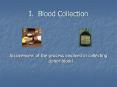 I. Blood Collection PowerPoint PPT Presentation