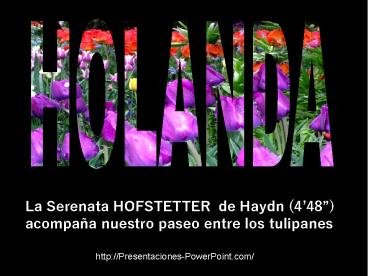 La Serenata HOFSTETTER de Haydn (4