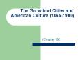The Growth of Cities and American Culture (1865-1900) PowerPoint PPT Presentation