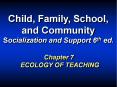 Child, Family, School,  and Community Socialization and Support 6th ed. PowerPoint PPT Presentation