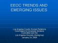 EEOC TRENDS AND EMERGING ISSUES PowerPoint PPT Presentation