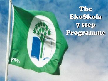 The EkoSkola 7 step Programme