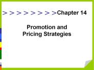 Promotion and Pricing Strategies