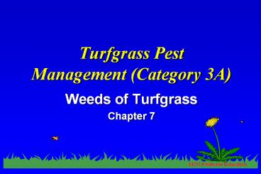 Turfgrass Pest Management (Category 3A)