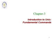 Introduction to Unix: Fundamental Commands