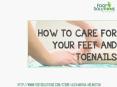How to care for your Feet and Toenails PowerPoint PPT Presentation