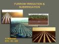 FURROW IRRIGATION PowerPoint PPT Presentation