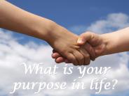 What is your purpose in life?