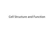Cell Structure and Function