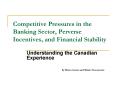 Competitive Pressures in the Banking Sector, Perverse Incentives, and Financial Stability PowerPoint PPT Presentation