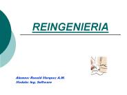 REINGENIERIA