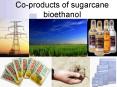 Co-products of sugarcane bioethanol