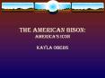 The American Bison: America PowerPoint PPT Presentation