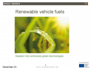 Renewable vehicle fuels