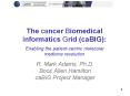 The cancer Biomedical Informatics Grid (caBIG):  Enabling the patient-centric molecular medicine revolution PowerPoint PPT Presentation