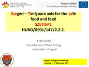 Szeged 