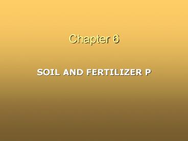 SOIL AND FERTILIZER P