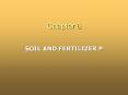SOIL AND FERTILIZER P PowerPoint PPT Presentation