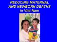 REDUCING MATERNAL AND NEWBORN DEATHS in Viet Nam PowerPoint PPT Presentation