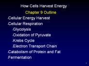 How Cells Harvest Energy