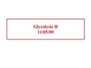 Glycolysis II 11/05/09