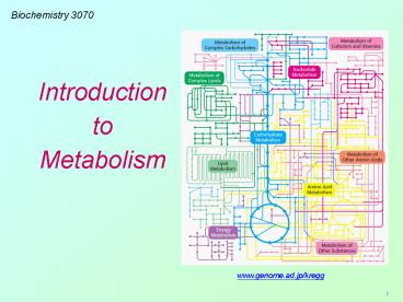 3070 Lecture - Vitamins