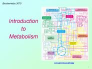 3070 Lecture - Vitamins
