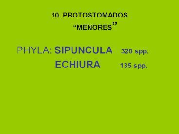 PHYLA: SIPUNCULA  320 spp.