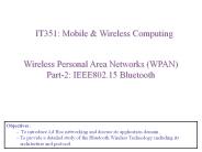 Wireless Personal Area Networks (WPAN)