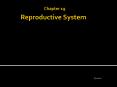 Chapter 19 Reproductive System PowerPoint PPT Presentation