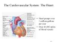 The Cardiovascular System: The Heart PowerPoint PPT Presentation