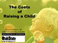 The Costs       of Raising a Child PowerPoint PPT Presentation