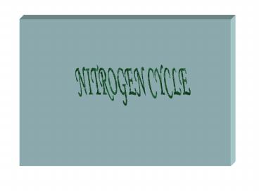 PPT – NITROGEN CYCLE PowerPoint presentation | free to download - id ...