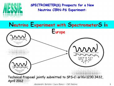 Presentazione di PowerPoint
